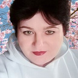 �����, ��������, 41 ���