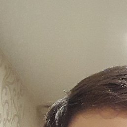 �����, �����-���������, 22 ����