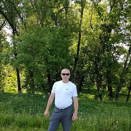 �������, �����, 55 ���