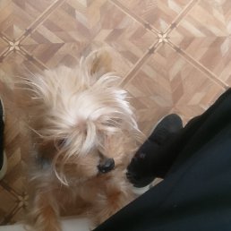 ����, �������, 58 ���