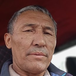 ����, ���������, 59 ���