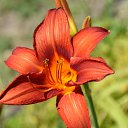  , , 66  -  21  2023    2023