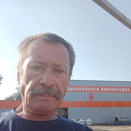 ���������, ���������, 66 ���