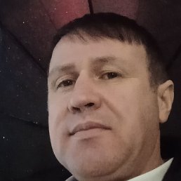 ����, �����-���������, 43 ����