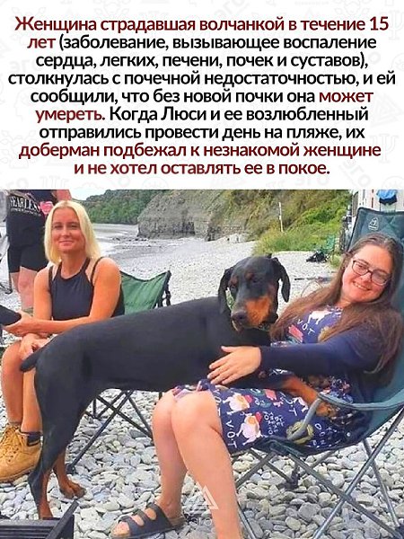 Невероятная история, случайным образом изменившая жизнь. И очень благородный поступок со стороны ... - 2
