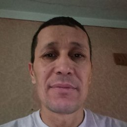 �����, ������, 48 ���