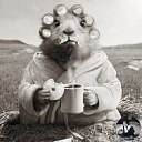 ���� Seagull, ������, 54 ���� - ��������� 29 ��� 2023