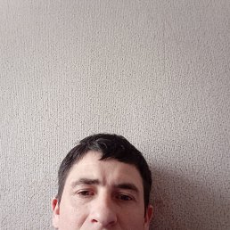 , 39, -