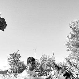 Mirik, ������, 33 ����