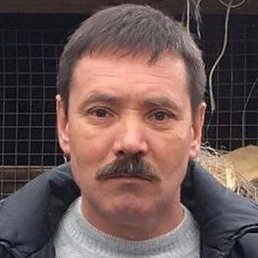 ��������, ������, 52 ����