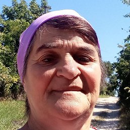 �������, �������, 66 ���