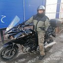 ���� �������, �����������, 66 ��� - ��������� 20 ���� 2023 � ������ ���� ����������