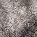 ���� Lucas, ��������, 38 ��� - ��������� 3 ������� 2023 � ������ ���� ����������