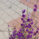 ���� Tanya, �������, 62 ���� - ��������� 18 ������ 2023 � ������ ���� ����������
