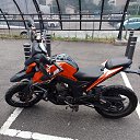 ���� ����, �������, 32 ���� - ��������� 10 �������� 2023 � ������ ���� ����������