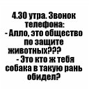 ���� �����, ������ - ��������� 12 �������� 2023 � ������ ������ ��������