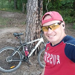 ����, ������, 41 ���