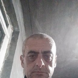 �����, ������, 41 ���