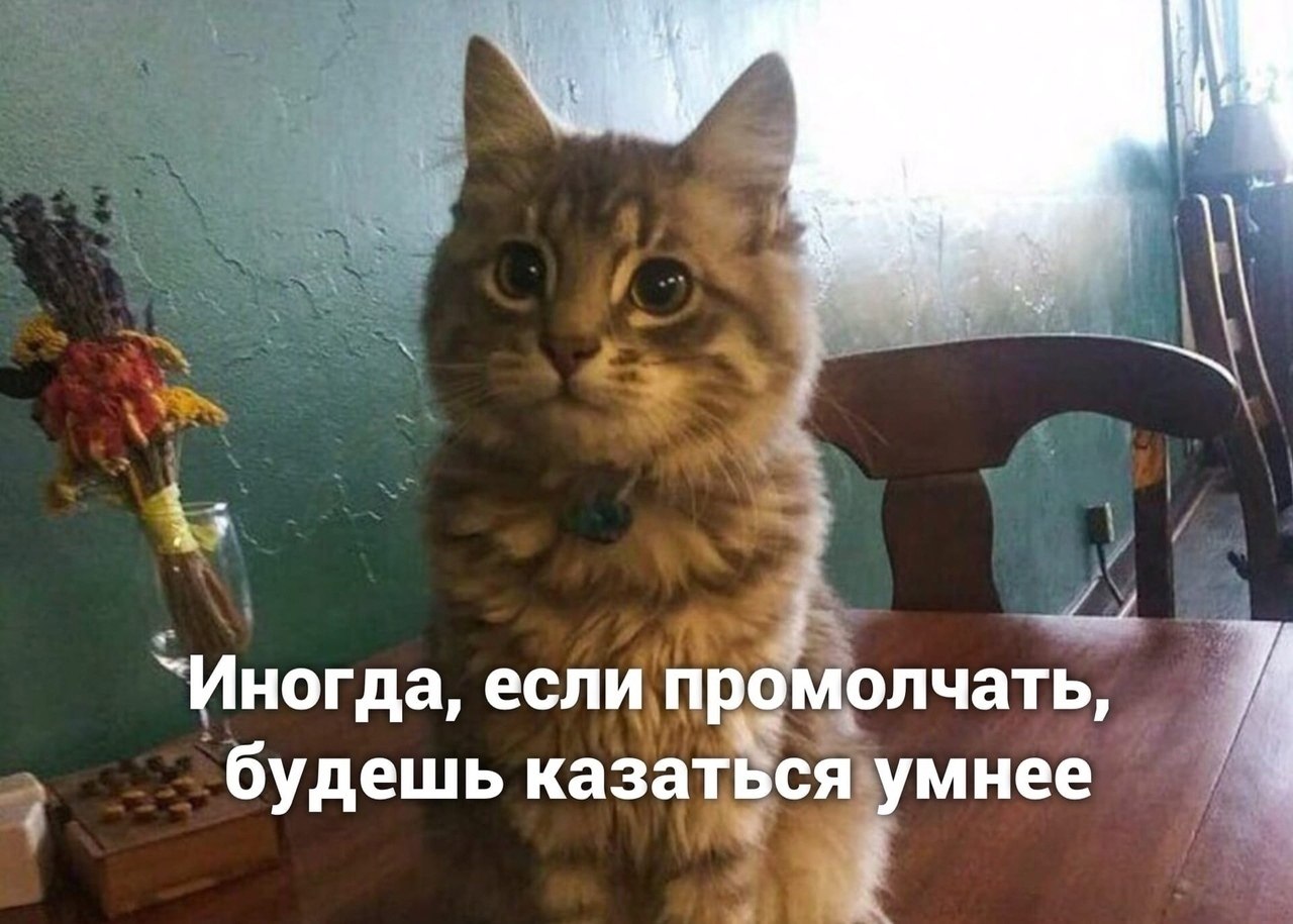  )