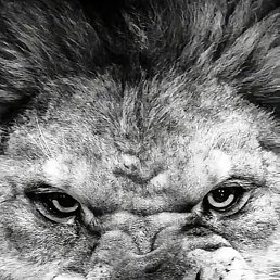 �����, ������, 24 ����