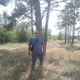 �������, ����, 40 ���