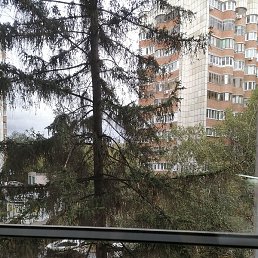 �������, ������, 62 ����