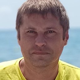 ������, ������, 41 ���