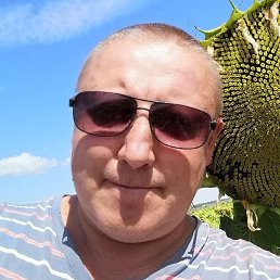 �����, ������, 46 ���