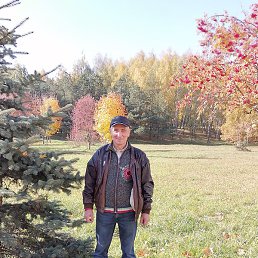 �����, ������, 62 ����