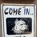  , -, 56  -  13  2023