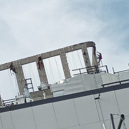 Bek, �����, 42 ����