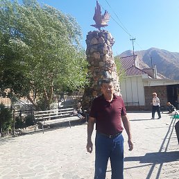 ������, �����, 55 ���