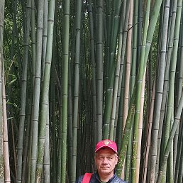 ���� �����, ������������, 54 ���� - ��������� 11 ���� 2023