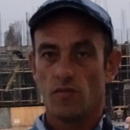 ���������, �����������, 43 ����