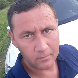 �����, ������, 37 ���