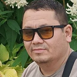 ������, �����, 43 ����