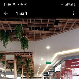 ���������, ������-��-����, 40 ���