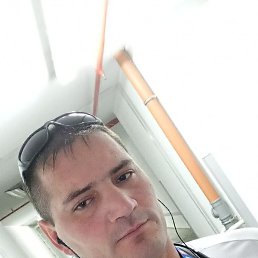 ���������, ���������, 39 ���