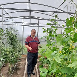 Gennadiy, ������, 43 ����