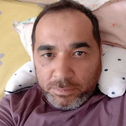 ������, �����, 44 ����