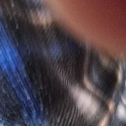 �������, �����, 64 ����