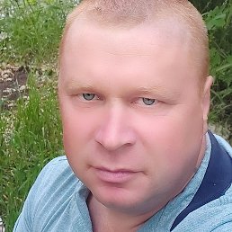 ������, ������������, 46 ���