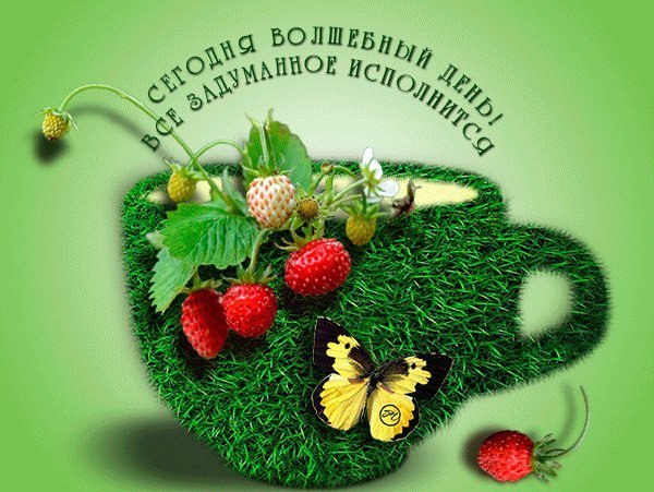 Мои воспоминания о загруженной фотографии 1 год назад