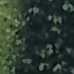 ������, ������, 62 ����