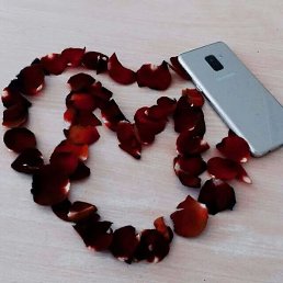 �����, �������, 27 ���