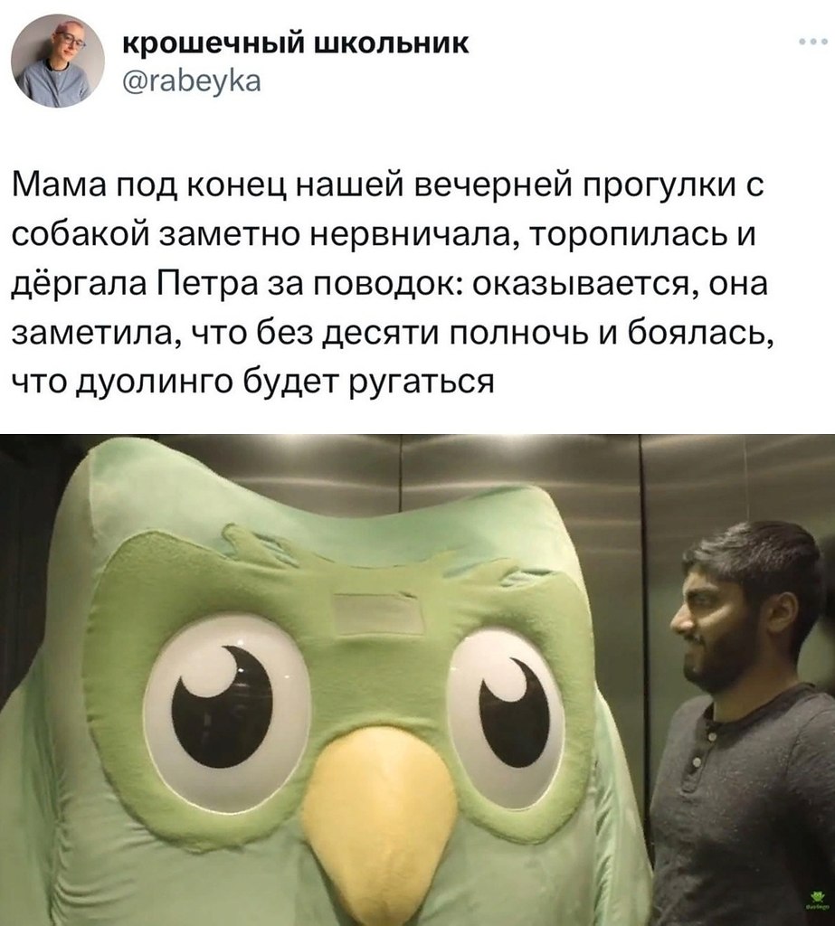 да, зелёную сову лучше не злить