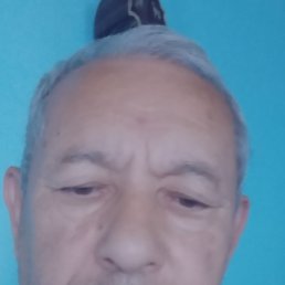 ���� �����, �����, 71 ��� - ��������� 6 ������� 2023