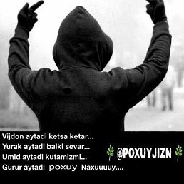 �����, ������, 41 ���