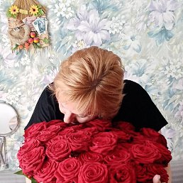 ������, ������, 52 ����