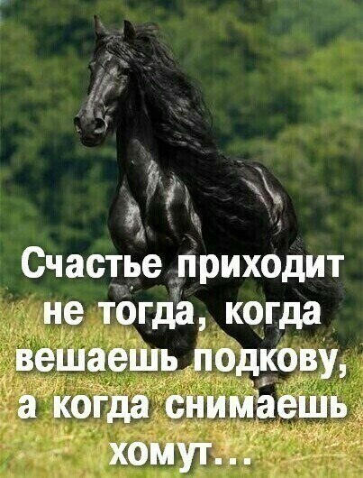 ������� - 2 ��� 2023 � 06:54